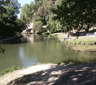 Local fishing areas